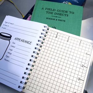 Kids' Stationery: Bug Log
