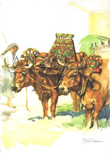 Vintage Postcard Reproduction - Oxcart, Douro Coast, Portugal