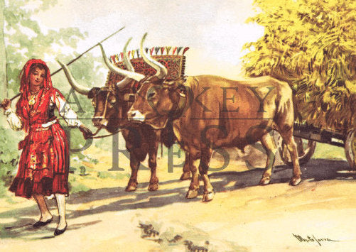 Vintage Postcard Reproduction - Oxcart, Viana do Castelo, Portugal