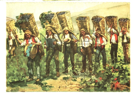 Vintage Postcard Reproduction - Carrying Grapes, Douro, Portugal