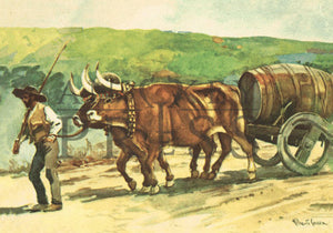 Vintage Postcard Reproduction - Oxcart, Douro, Portugal