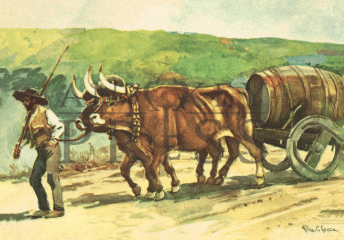 Vintage Postcard Reproduction - Oxcart, Douro, Portugal