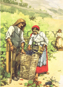Vintage Postcard Reproduction - "Vintage", Douro, Portugal